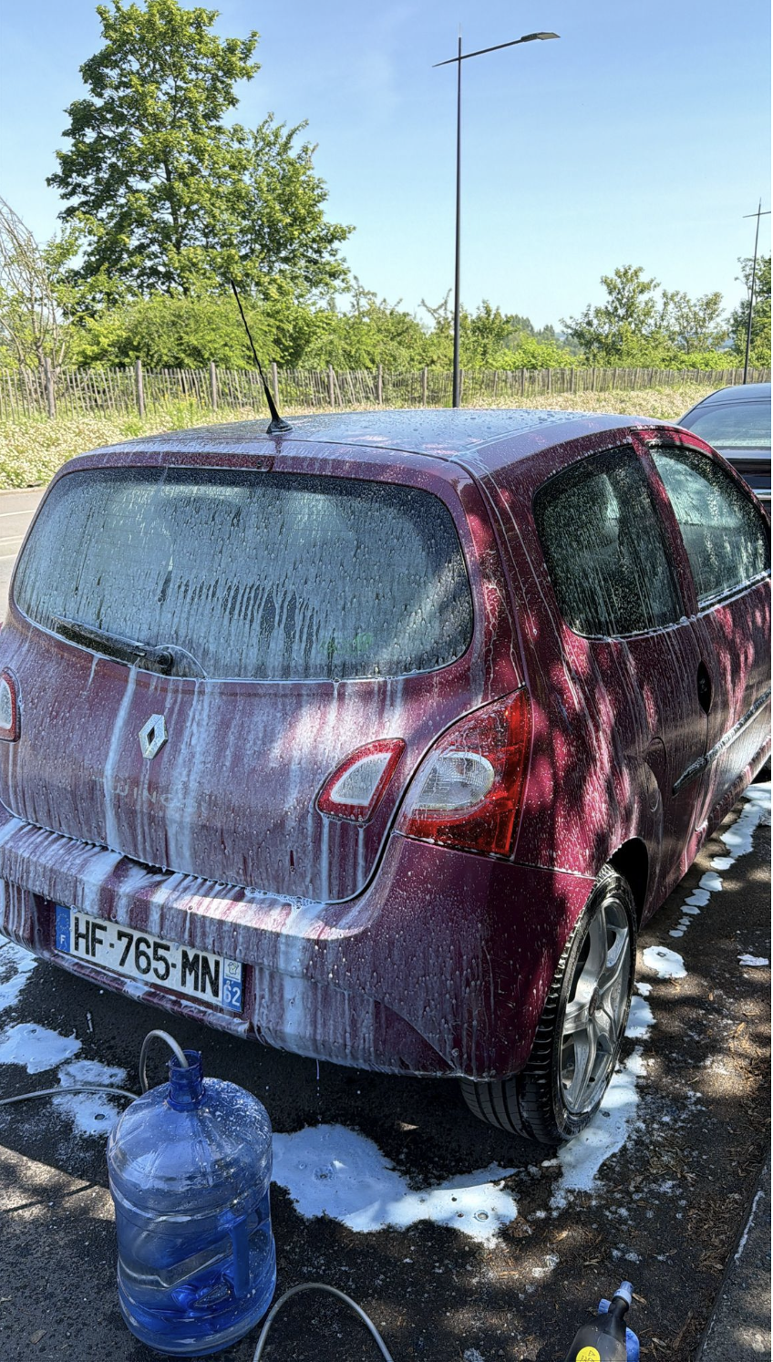 Pendant Twingo